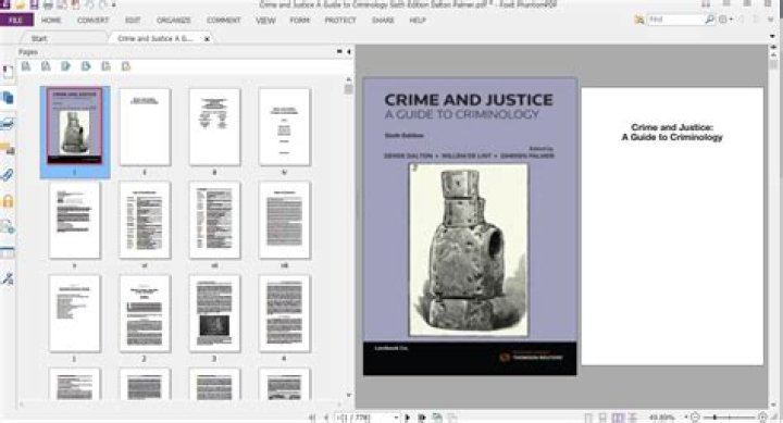 A Journey Into Crime And Justice